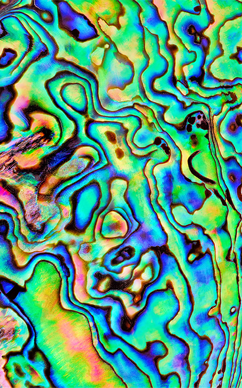 AERO 16 (Intel 12th Gen)